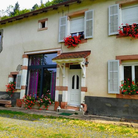 Le Logis Aux Digitales Apartment La Croix-aux-Mines Exterior photo