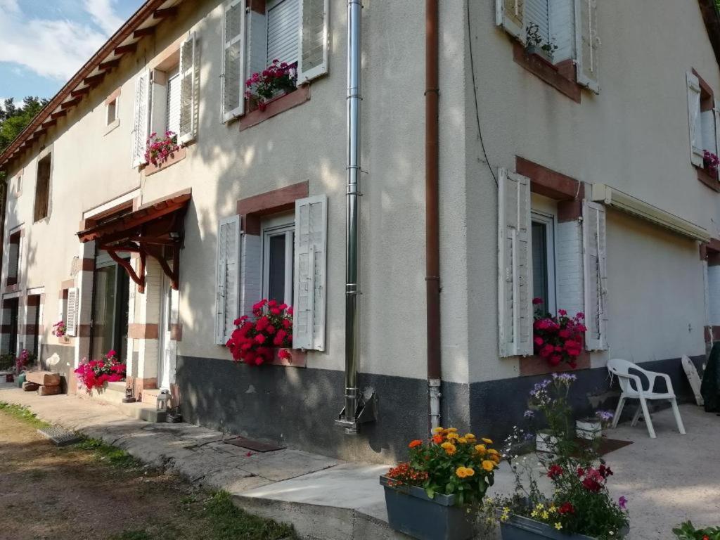 Le Logis Aux Digitales Apartment La Croix-aux-Mines Exterior photo