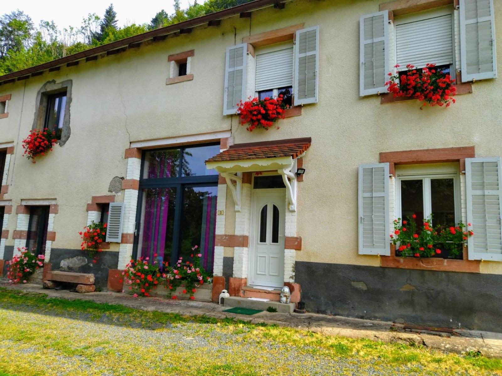 Le Logis Aux Digitales Apartment La Croix-aux-Mines Exterior photo